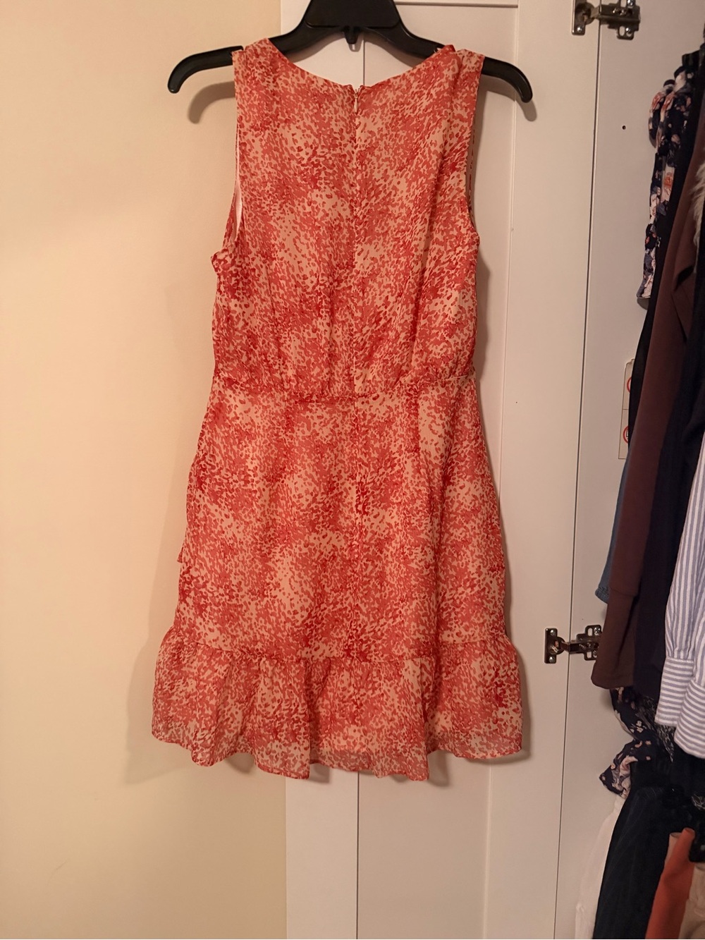 Express Coral Printed Ruffle Dress - Picture 5 of 5